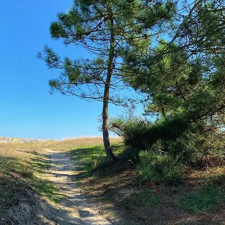 Medusablu121 Apartamento *