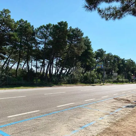 Medusablu121 Lägenhet *