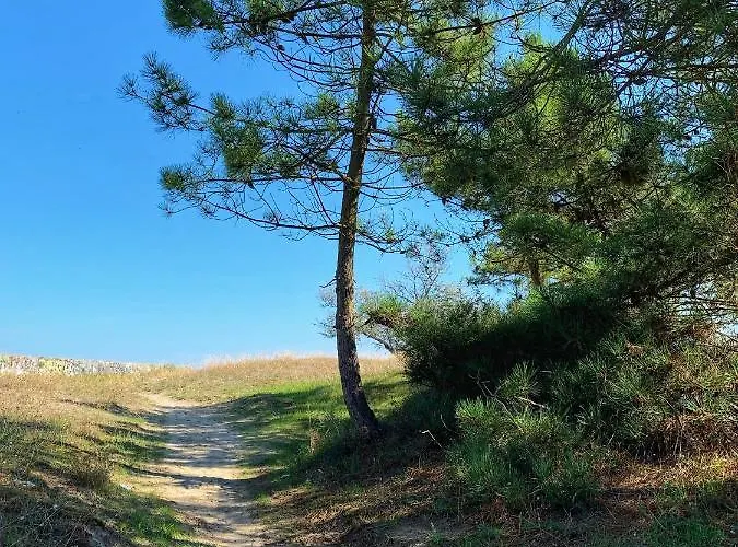 Medusablu121 Daire *