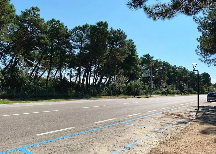 Medusablu121 Daire *